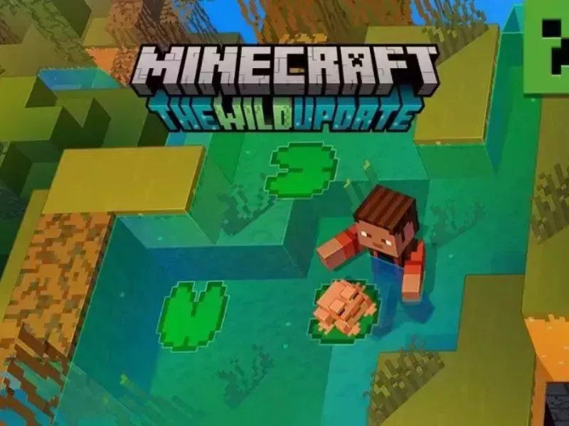 Cơ chế khiếu nại và cập nhật chính sách