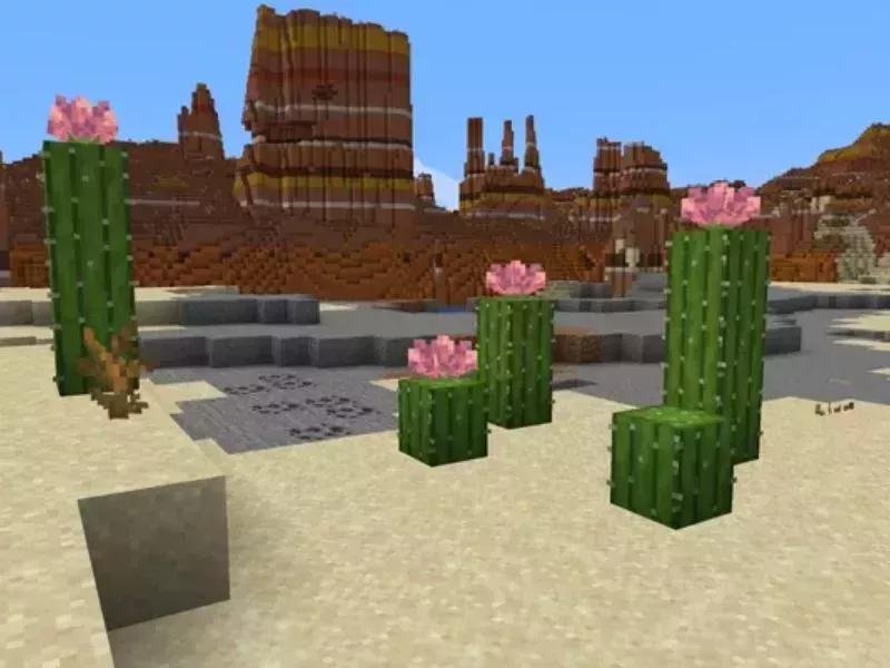 Minecraft 1.21.71 - Trải nghiệm mượt mà hơn qua tối ưu lõi Minecraft 1.21.71 - Trải nghiệm mượt mà hơn qua tối ưu lõi