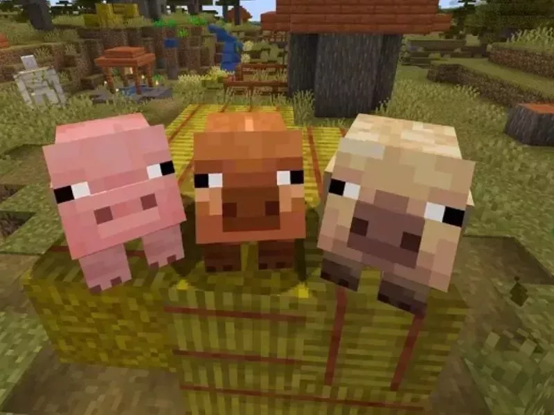 Mẹo chơi Minecraft - Tạo kho lưu trữ và quy tắc sắp xếp