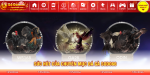 Nhà cái SODO66 có nhiều ưu điểm tạo sự khác biệt