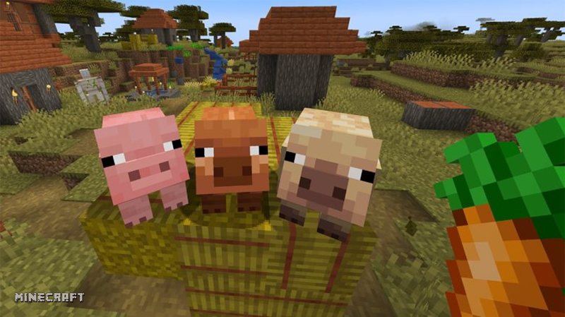 Totem Minecraft - Công dụng chính của Totem of Undying Totem Minecraft - Công dụng chính của Totem of Undying