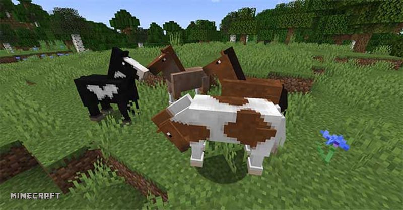 Pillager Minecraft - Khám phá đồn Pillager thế nào cho an toàn? Pillager Minecraft - Khám phá đồn Pillager thế nào cho an toàn?