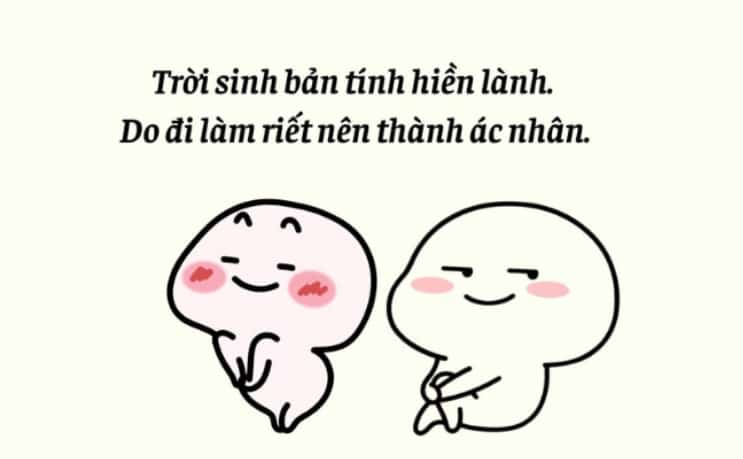 Các loại STT và caption bạn có thể tìm thấy trên Văn VN